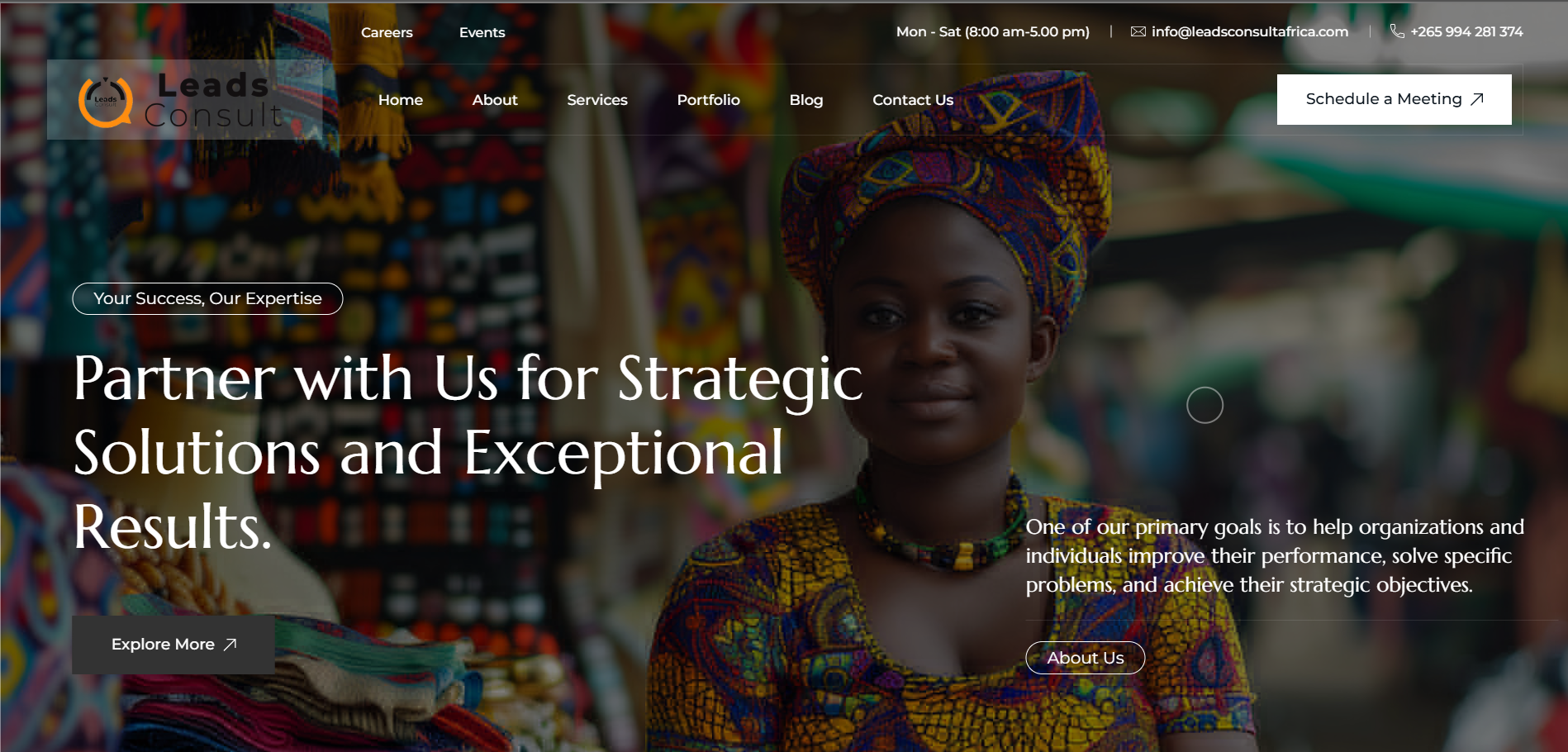 Leads Consult Africa Website